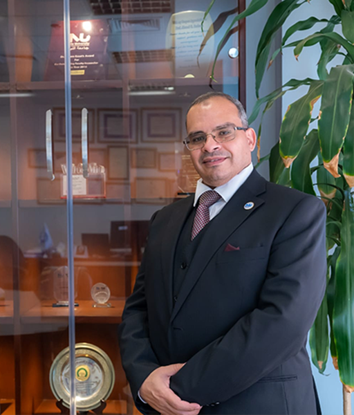 Prof. Ahmed Radwan 