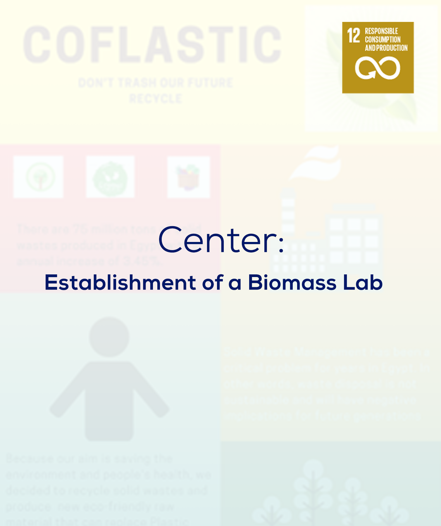 The main goal of establishing a Biomass Lab at Nile University is to thoroughly investigate the potential use of biomass and agricultural waste as a fuel or a material with desirable properties for many engineering applications. The lab will investigate the properties of different biomass materials produced and processed using different techniques and then assess their physical/chemical properties and test their suitability for specific applications. The successful use of biomass to replace other chemical/s