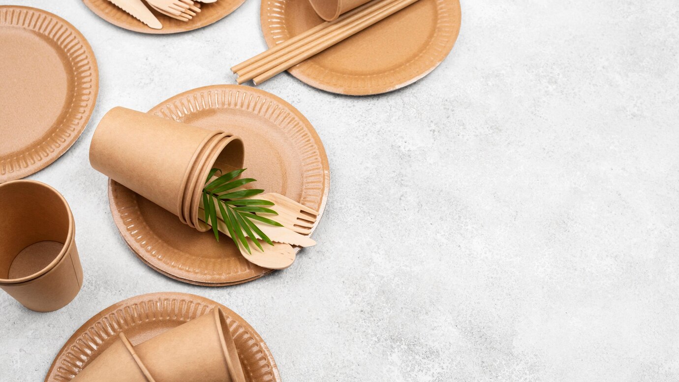 Sustainable Solutions for Single-Use Plates