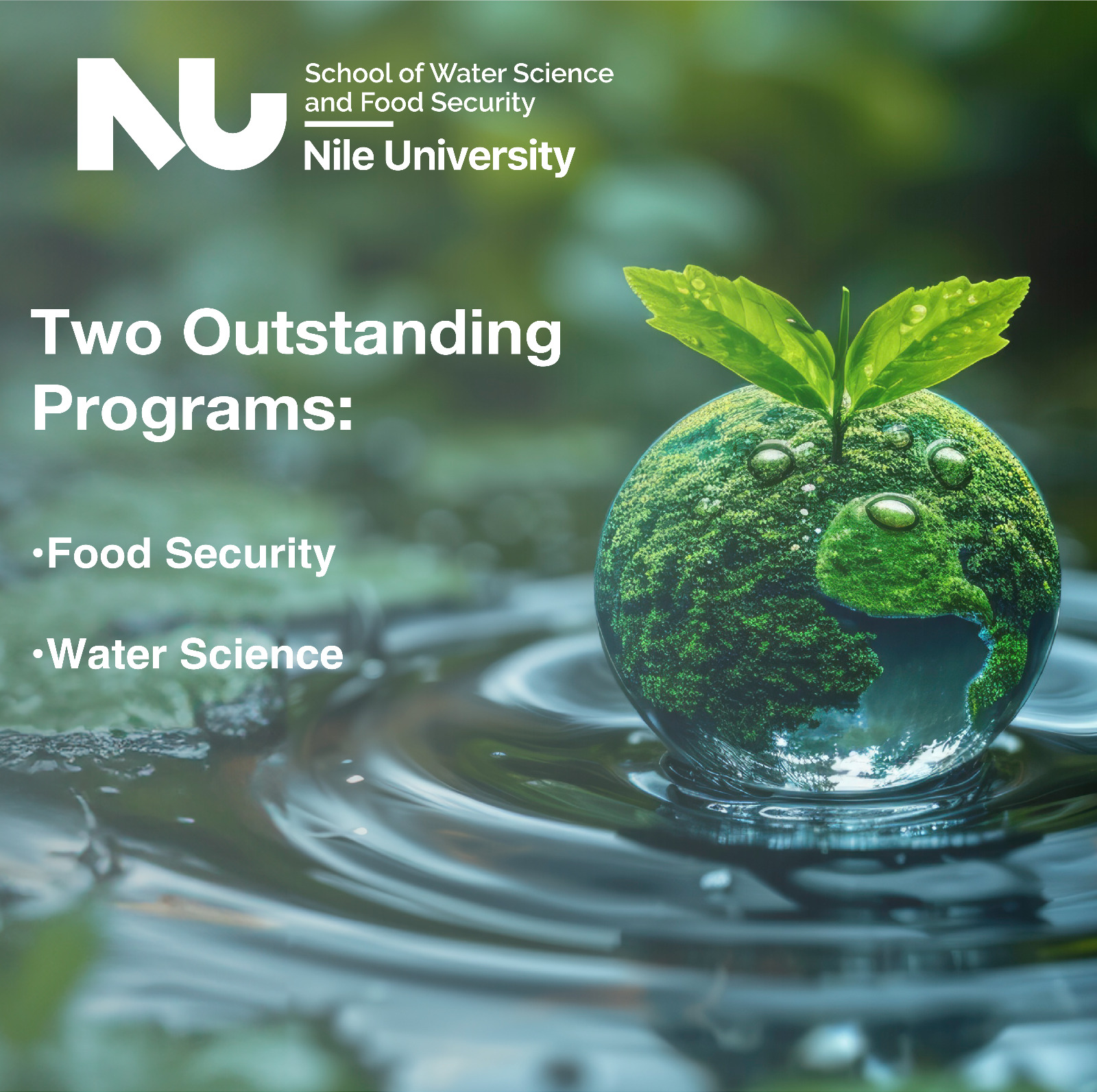 School of Water Science and Food Security
