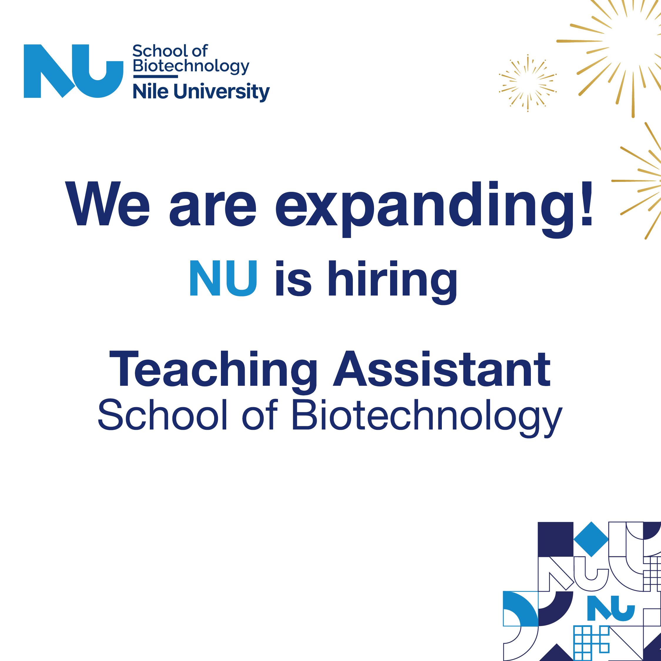 Teaching Assistant