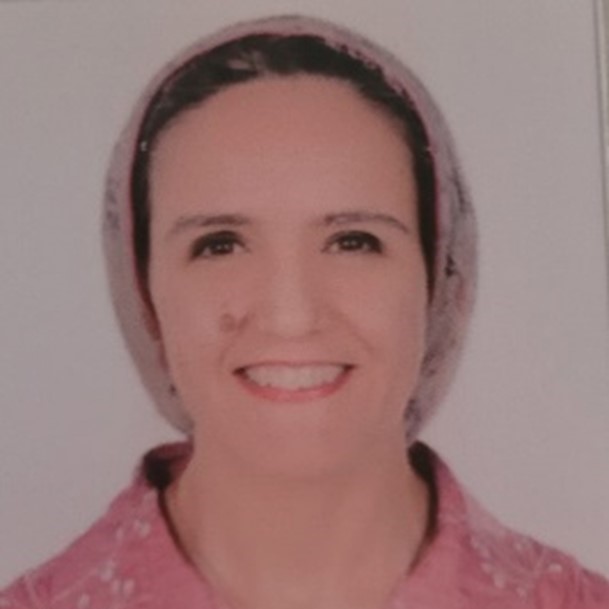 Dr. Heba Mosalam