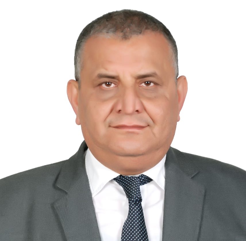 Prof. Amr Farouk Abdel-Khalik