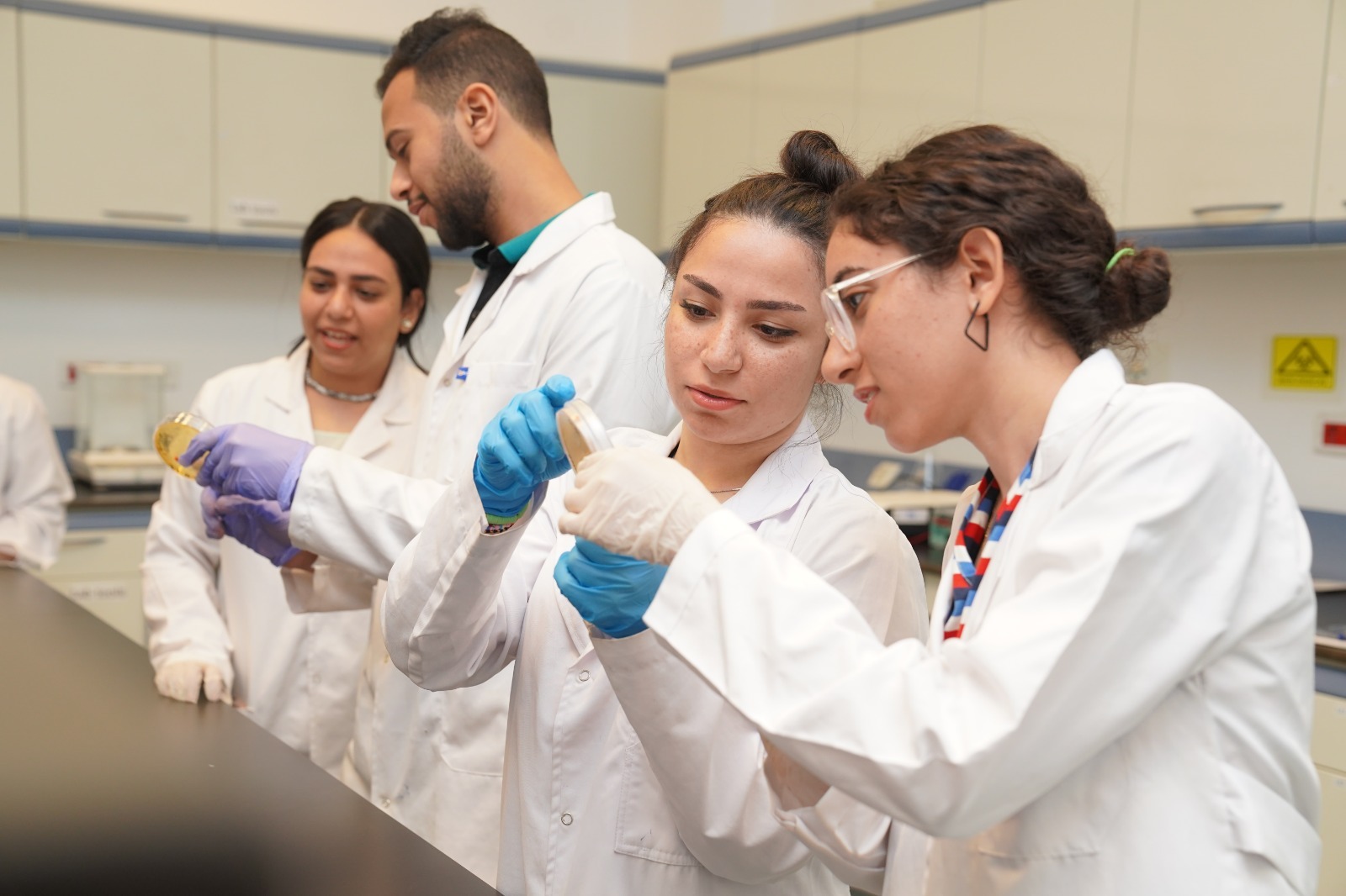 School of Biotechnology