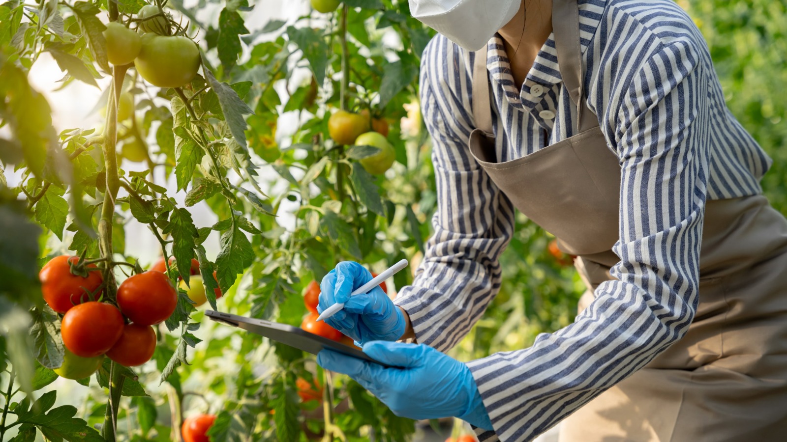School of Water Science and Food Security