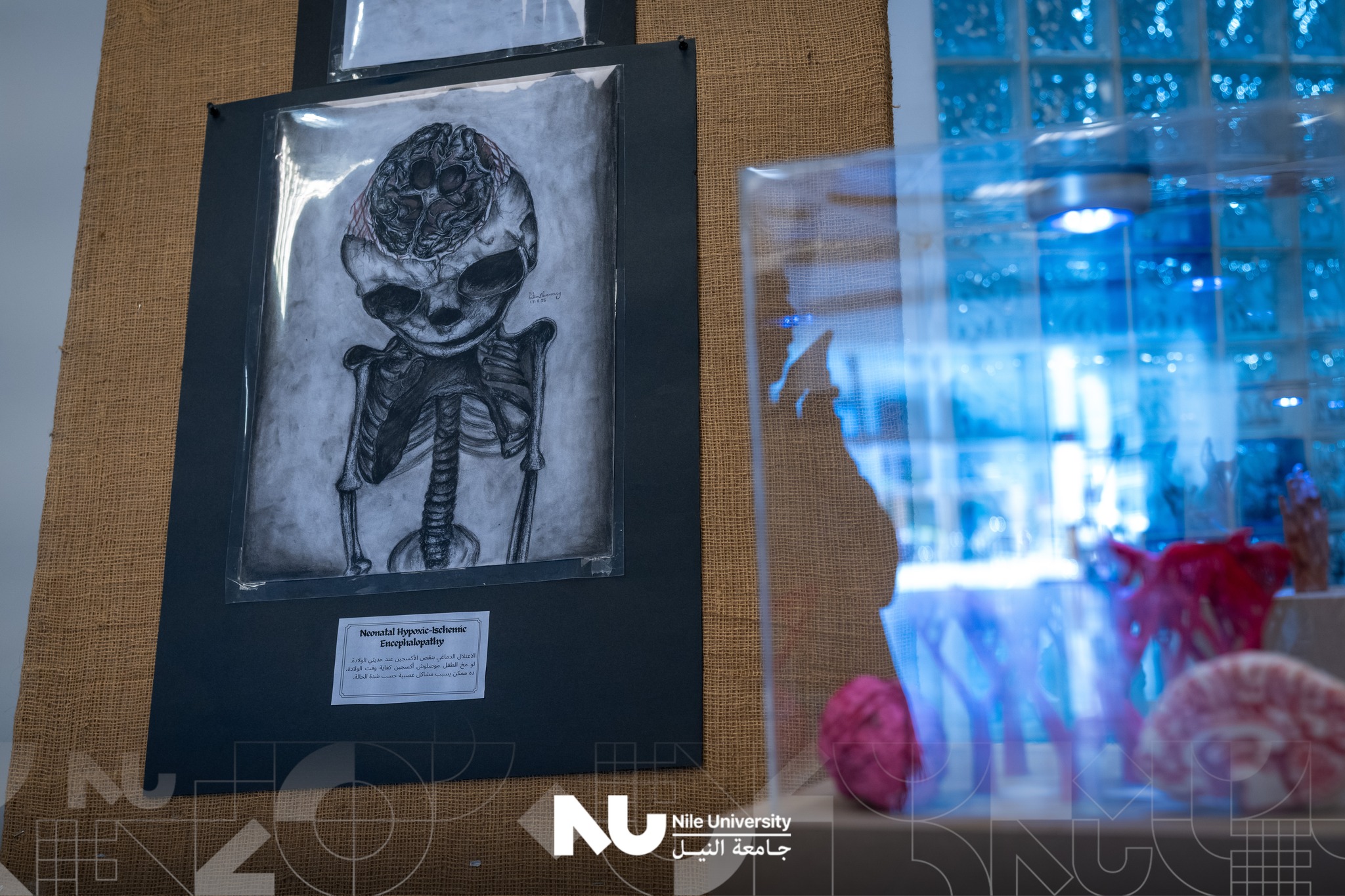 Highlights from “The Art of Tissue Across Ages” at Nile University