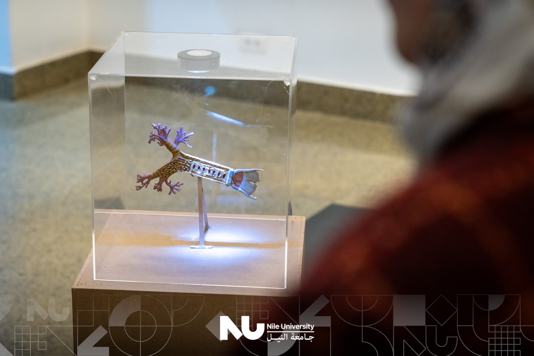 Highlights from “The Art of Tissue Across Ages” at Nile University