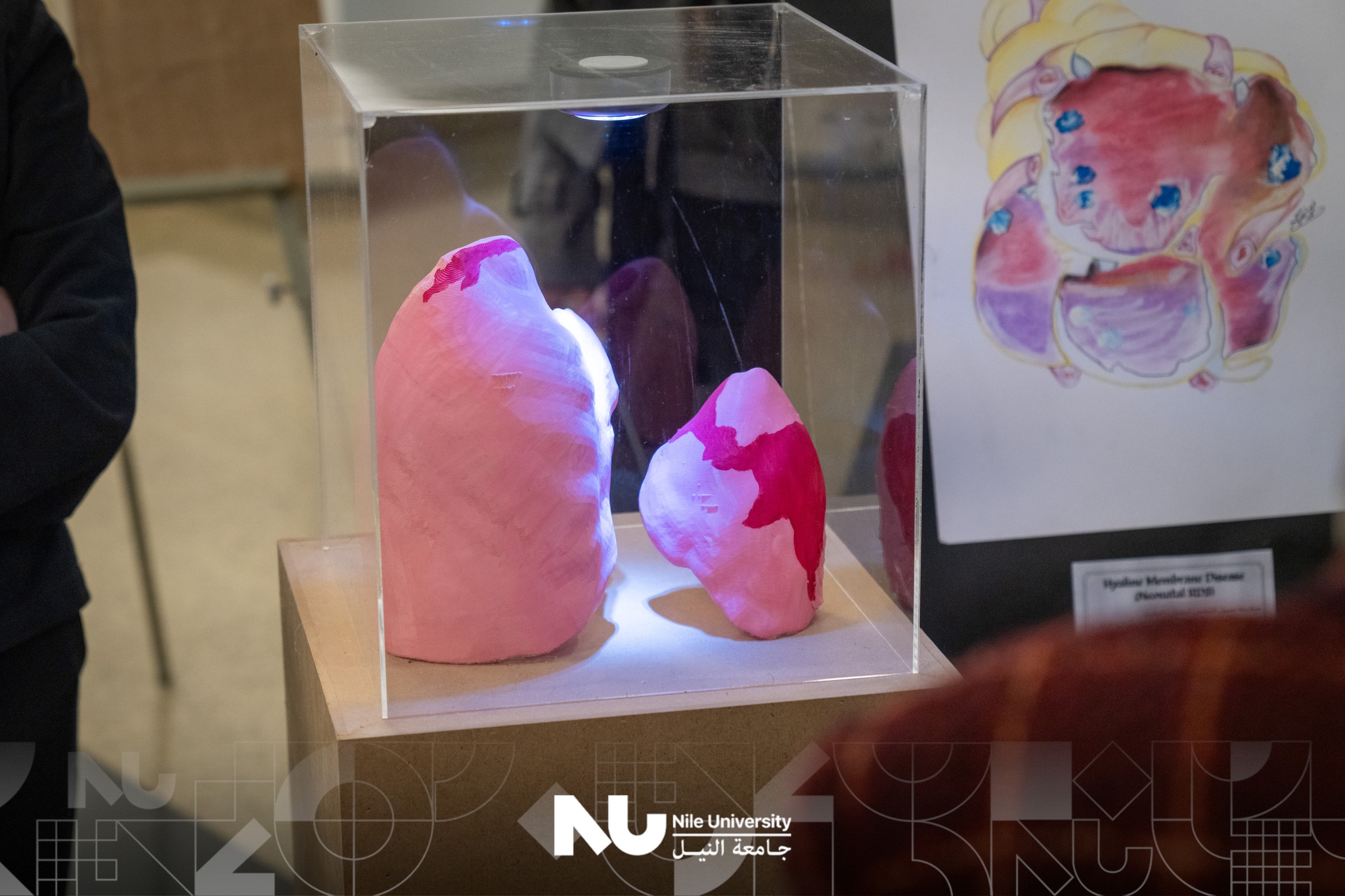 Highlights from “The Art of Tissue Across Ages” at Nile University