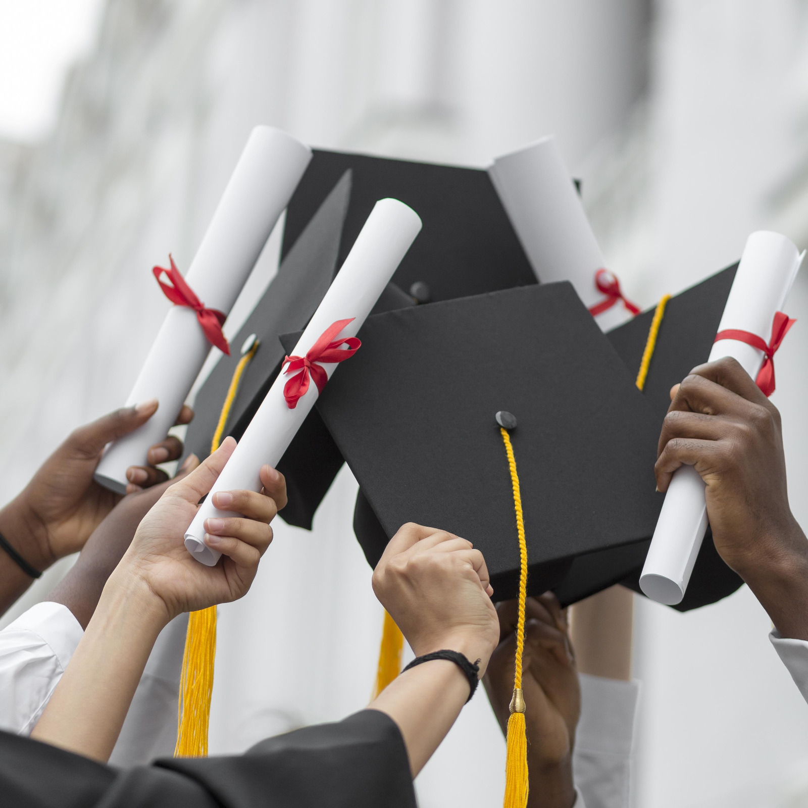 The Executive Master of Business Administration (EMBA)