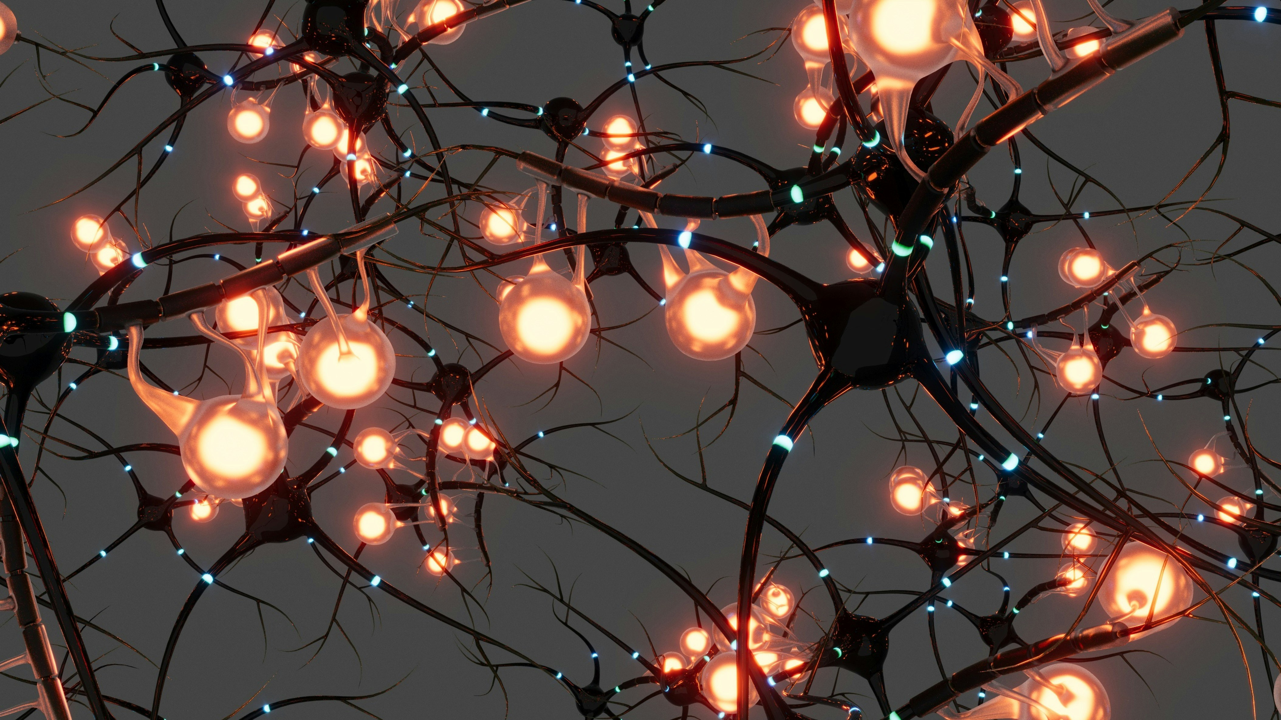 Professional Diploma in Neuroscience for the Arab Region